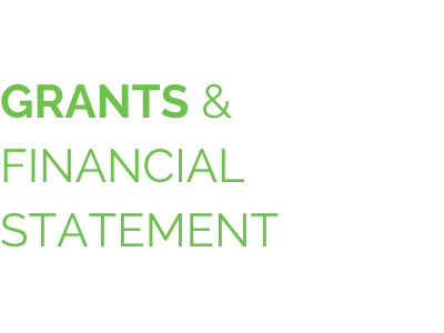 Grants and Financial Statement